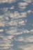 MorningCloud15