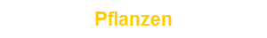 Pflanzen